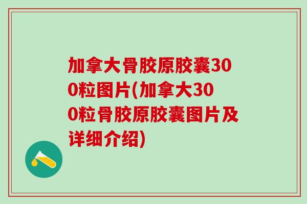 加拿大骨胶原胶囊300粒图片(加拿大300粒骨胶原胶囊图片及详细介绍)-第1张图片-氨糖科普网 加拿大骨胶原胶囊300粒图片(加拿大300粒骨胶原胶囊图片及详细介绍)-第1张图片-氨糖科普网