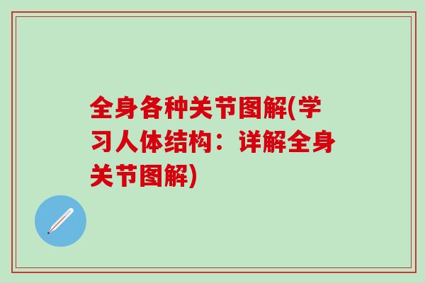 全身各种关节图解(学习人体结构:详解全身关节图解)-第1张图片-氨糖科普网 全身各种关节图解(学习人体结构:详解全身关节图解)-第1张图片-氨糖科普网