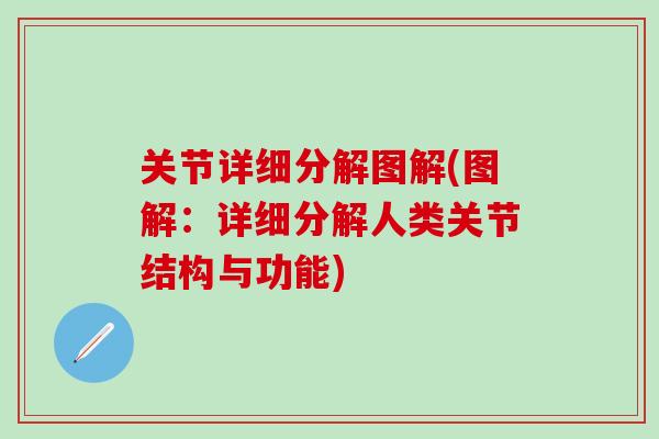 关节详细分解图解(图解：详细分解人类关节结构与功能)-第1张图片-氨糖科普网