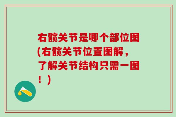 右髋关节是哪个部位图(右髋关节位置图解,了解关节结构只需一图!)-第1张图片-氨糖科普网 右髋关节是哪个部位图(右髋关节位置图解,了解关节结构只需一图!)-第1张图片-氨糖科普网