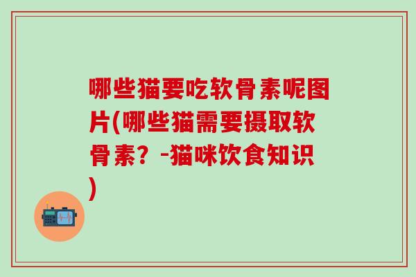 哪些猫要吃软骨素呢图片(哪些猫需要摄取软骨素?-猫咪饮食知识)-第1张图片-氨糖科普网 哪些猫要吃软骨素呢图片(哪些猫需要摄取软骨素?-猫咪饮食知识)-第1张图片-氨糖科普网