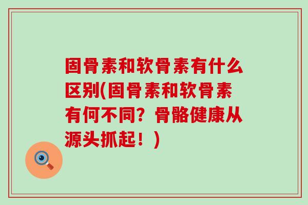 固骨素和软骨素有什么区别(固骨素和软骨素有何不同?骨骼健康从源头抓起!)-第1张图片-氨糖科普网 固骨素和软骨素有什么区别(固骨素和软骨素有何不同?骨骼健康从源头抓起!)-第1张图片-氨糖科普网