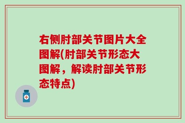 右侧肘部关节图片大全图解(肘部关节形态大图解，解读肘部关节形态特点)-第1张图片-氨糖科普网