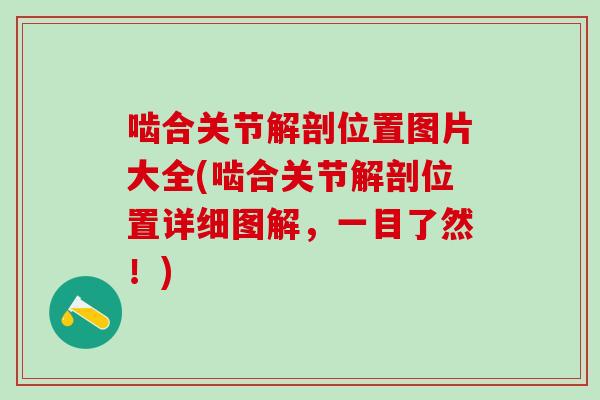 啮合关节解剖位置图片大全(啮合关节解剖位置详细图解,一目了然!)-第1张图片-氨糖科普网 啮合关节解剖位置图片大全(啮合关节解剖位置详细图解,一目了然!)-第1张图片-氨糖科普网
