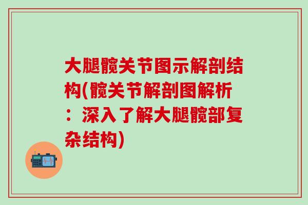 大腿髋关节图示解剖结构(髋关节解剖图解析:深入了解大腿髋部复杂结构)-第1张图片-氨糖科普网 大腿髋关节图示解剖结构(髋关节解剖图解析:深入了解大腿髋部复杂结构)-第1张图片-氨糖科普网