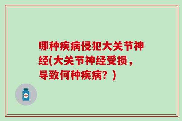 哪种疾病侵犯大关节神经(大关节神经受损,导致何种疾病?)-第1张图片-氨糖科普网 哪种疾病侵犯大关节神经(大关节神经受损,导致何种疾病?)-第1张图片-氨糖科普网