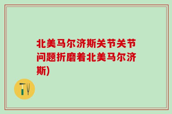 北美马尔济斯关节关节问题折磨着北美马尔济斯)-第1张图片-氨糖科普网 北美马尔济斯关节关节问题折磨着北美马尔济斯)-第1张图片-氨糖科普网