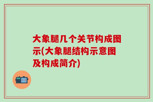 大象腿几个关节构成图示(大象腿结构示意图及构成简介)-第1张图片-氨糖科普网 大象腿几个关节构成图示(大象腿结构示意图及构成简介)-第1张图片-氨糖科普网