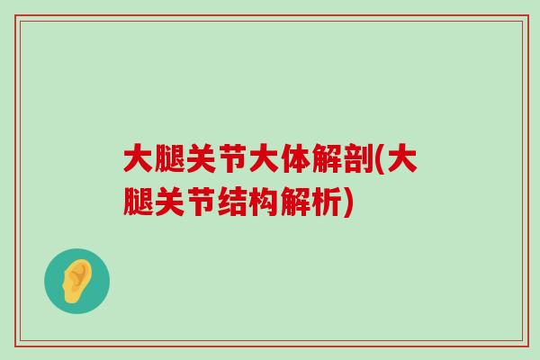 大腿关节大体解剖(大腿关节结构解析)-第1张图片-氨糖科普网 大腿关节大体解剖(大腿关节结构解析)-第1张图片-氨糖科普网