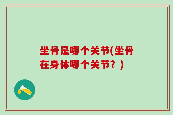 坐骨是哪个关节(坐骨在身体哪个关节?)-第1张图片-氨糖科普网 坐骨是哪个关节(坐骨在身体哪个关节?)-第1张图片-氨糖科普网