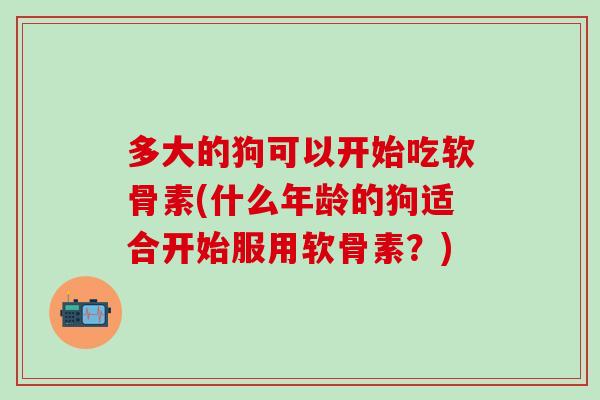 多大的狗可以开始吃软骨素(什么年龄的狗适合开始服用软骨素?)-第1张图片-氨糖科普网 多大的狗可以开始吃软骨素(什么年龄的狗适合开始服用软骨素?)-第1张图片-氨糖科普网