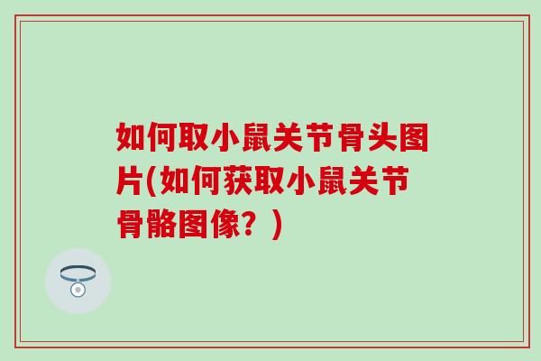 如何取小鼠关节骨头图片(如何获取小鼠关节骨骼图像?)-第1张图片-氨糖科普网 如何取小鼠关节骨头图片(如何获取小鼠关节骨骼图像?)-第1张图片-氨糖科普网