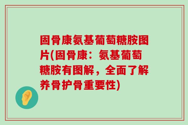 固骨康氨基葡萄糖胺图片(固骨康:氨基葡萄糖胺有图解,全面了解养骨护骨重要性)-第1张图片-氨糖科普网 固骨康氨基葡萄糖胺图片(固骨康:氨基葡萄糖胺有图解,全面了解养骨护骨重要性)-第1张图片-氨糖科普网