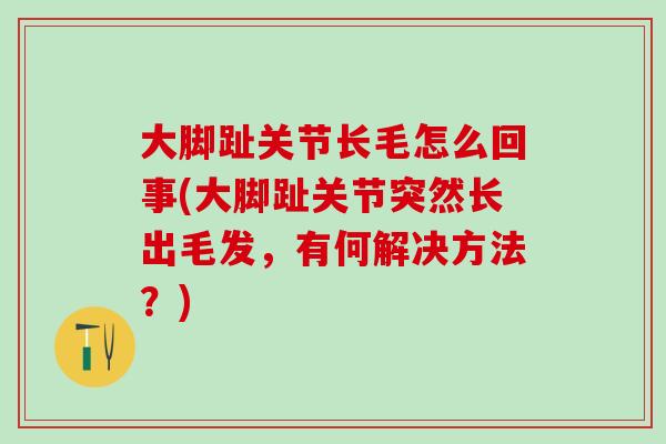 大脚趾关节长毛怎么回事(大脚趾关节突然长出毛发,有何解决方法?)-第1张图片-氨糖科普网 大脚趾关节长毛怎么回事(大脚趾关节突然长出毛发,有何解决方法?)-第1张图片-氨糖科普网