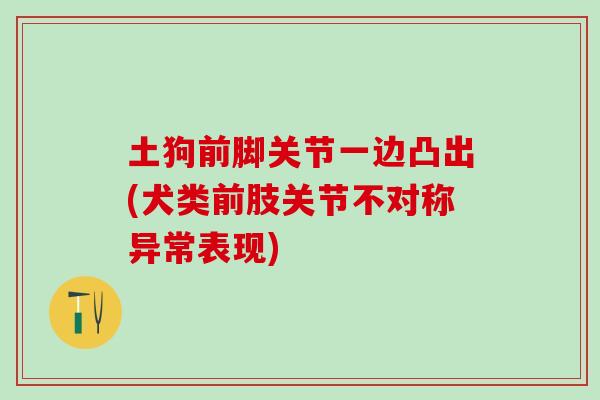 土狗前脚关节一边凸出(犬类前肢关节不对称异常表现)-第1张图片-氨糖科普网 土狗前脚关节一边凸出(犬类前肢关节不对称异常表现)-第1张图片-氨糖科普网