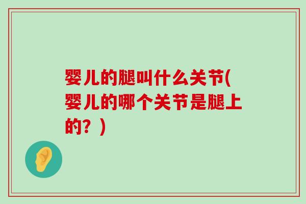 婴儿的腿叫什么关节(婴儿的哪个关节是腿上的?)-第1张图片-氨糖科普网 婴儿的腿叫什么关节(婴儿的哪个关节是腿上的?)-第1张图片-氨糖科普网