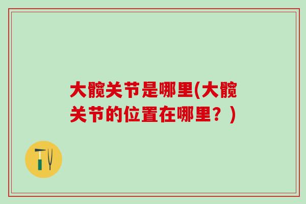 大髋关节是哪里(大髋关节的位置在哪里?)-第1张图片-氨糖科普网 大髋关节是哪里(大髋关节的位置在哪里?)-第1张图片-氨糖科普网