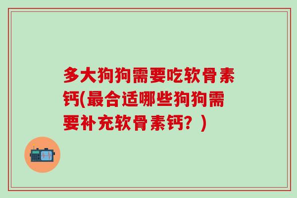 多大狗狗需要吃软骨素钙(最合适哪些狗狗需要补充软骨素钙?)-第1张图片-氨糖科普网 多大狗狗需要吃软骨素钙(最合适哪些狗狗需要补充软骨素钙?)-第1张图片-氨糖科普网