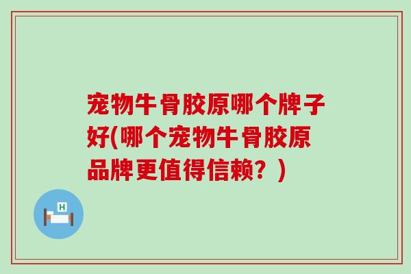 宠物牛骨胶原哪个牌子好(哪个宠物牛骨胶原品牌更值得信赖？)-第1张图片-氨糖科普网
