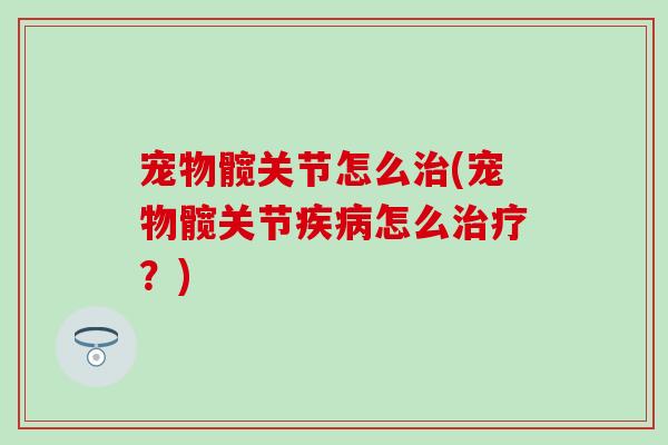 宠物髋关节怎么治(宠物髋关节疾病怎么治疗？)-第1张图片-氨糖科普网