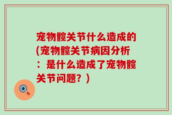 宠物髋关节什么造成的(宠物髋关节病因分析:是什么造成了宠物髋关节问题?)-第1张图片-氨糖科普网 宠物髋关节什么造成的(宠物髋关节病因分析:是什么造成了宠物髋关节问题?)-第1张图片-氨糖科普网
