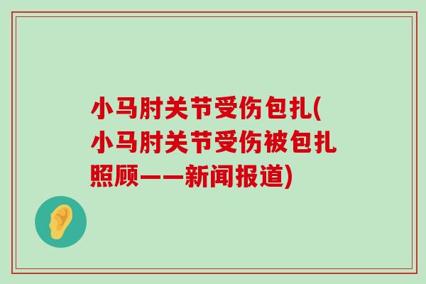 小马肘关节受伤包扎(小马肘关节受伤被包扎照顾——新闻报道)-第1张图片-氨糖科普网
