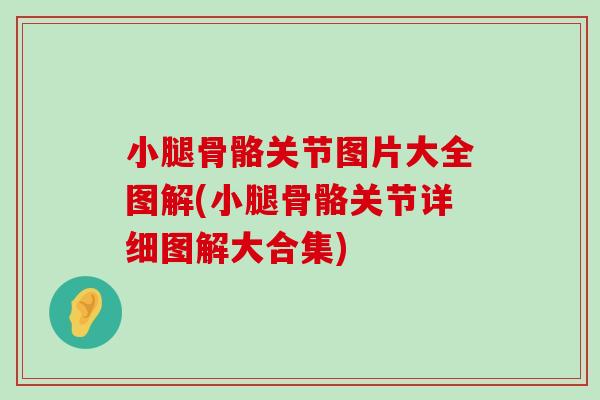 小腿骨骼关节图片大全图解(小腿骨骼关节详细图解大合集)-第1张图片-氨糖科普网 小腿骨骼关节图片大全图解(小腿骨骼关节详细图解大合集)-第1张图片-氨糖科普网