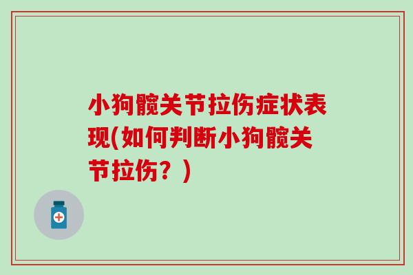 小狗髋关节拉伤症状表现(如何判断小狗髋关节拉伤?)-第1张图片-氨糖科普网 小狗髋关节拉伤症状表现(如何判断小狗髋关节拉伤?)-第1张图片-氨糖科普网