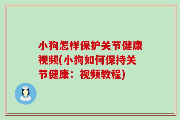 小狗怎样保护关节健康视频(小狗如何保持关节健康:视频教程)-第1张图片-氨糖科普网 小狗怎样保护关节健康视频(小狗如何保持关节健康:视频教程)-第1张图片-氨糖科普网