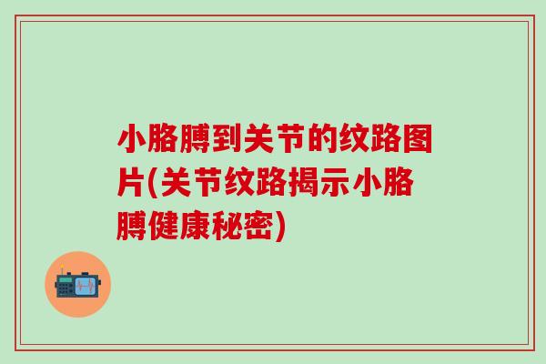 小胳膊到关节的纹路图片(关节纹路揭示小胳膊健康秘密)-第1张图片-氨糖科普网 小胳膊到关节的纹路图片(关节纹路揭示小胳膊健康秘密)-第1张图片-氨糖科普网