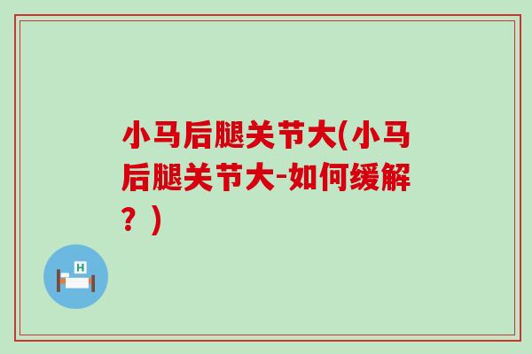 小马后腿关节大(小马后腿关节大-如何缓解？)-第1张图片-氨糖科普网