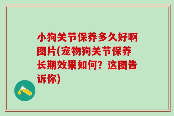 小狗关节保养多久好啊图片(宠物狗关节保养长期效果如何?这图告诉你)-第1张图片-氨糖科普网 小狗关节保养多久好啊图片(宠物狗关节保养长期效果如何?这图告诉你)-第1张图片-氨糖科普网