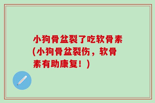 小狗骨盆裂了吃软骨素(小狗骨盆裂伤,软骨素有助康复!)-第1张图片-氨糖科普网 小狗骨盆裂了吃软骨素(小狗骨盆裂伤,软骨素有助康复!)-第1张图片-氨糖科普网