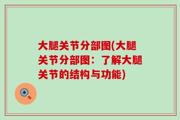 大腿关节分部图(大腿关节分部图:了解大腿关节的结构与功能)-第1张图片-氨糖科普网 大腿关节分部图(大腿关节分部图:了解大腿关节的结构与功能)-第1张图片-氨糖科普网