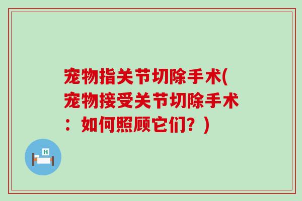 宠物指关节切除手术(宠物接受关节切除手术:如何照顾它们?)-第1张图片-氨糖科普网 宠物指关节切除手术(宠物接受关节切除手术:如何照顾它们?)-第1张图片-氨糖科普网