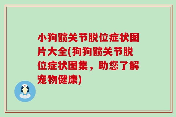 小狗髋关节脱位症状图片大全(狗狗髋关节脱位症状图集,助您了解宠物健康)-第1张图片-氨糖科普网 小狗髋关节脱位症状图片大全(狗狗髋关节脱位症状图集,助您了解宠物健康)-第1张图片-氨糖科普网