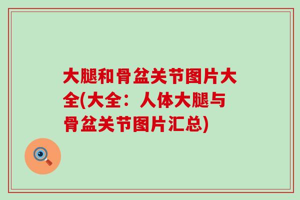 大腿和骨盆关节图片大全(大全：人体大腿与骨盆关节图片汇总)-第1张图片-氨糖科普网