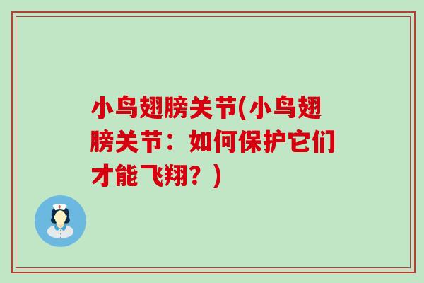 小鸟翅膀关节(小鸟翅膀关节:如何保护它们才能飞翔?)-第1张图片-氨糖科普网 小鸟翅膀关节(小鸟翅膀关节:如何保护它们才能飞翔?)-第1张图片-氨糖科普网