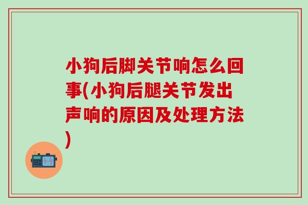 小狗后脚关节响怎么回事(小狗后腿关节发出声响的原因及处理方法)-第1张图片-氨糖科普网 小狗后脚关节响怎么回事(小狗后腿关节发出声响的原因及处理方法)-第1张图片-氨糖科普网