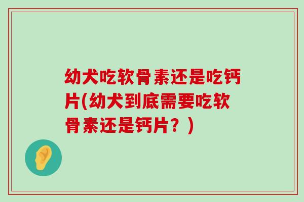 幼犬吃软骨素还是吃钙片(幼犬到底需要吃软骨素还是钙片？)-第1张图片-氨糖科普网