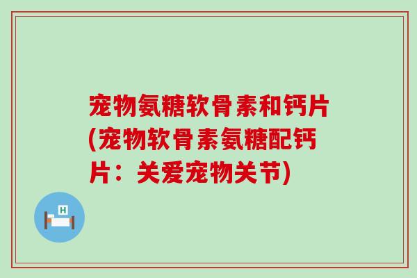 宠物氨糖软骨素和钙片(宠物软骨素氨糖配钙片:关爱宠物关节)-第1张图片-氨糖科普网 宠物氨糖软骨素和钙片(宠物软骨素氨糖配钙片:关爱宠物关节)-第1张图片-氨糖科普网
