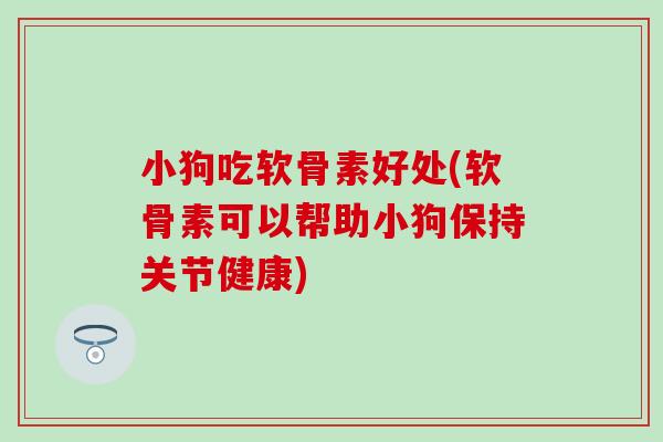 小狗吃软骨素好处(软骨素可以帮助小狗保持关节健康)-第1张图片-氨糖科普网
