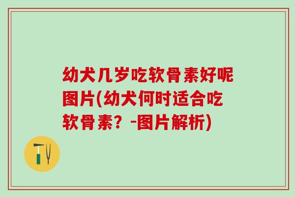 幼犬几岁吃软骨素好呢图片(幼犬何时适合吃软骨素？-图片解析)-第1张图片-氨糖科普网