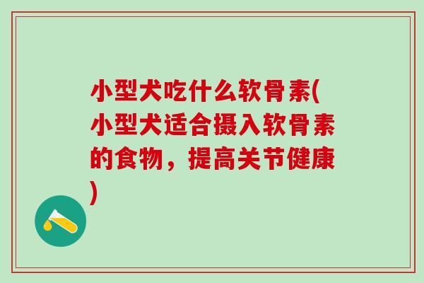 小型犬吃什么软骨素(小型犬适合摄入软骨素的食物，提高关节健康)-第1张图片-氨糖科普网