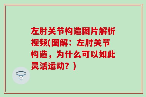 左肘关节构造图片解析视频(图解:左肘关节构造,为什么可以如此灵活运动?)-第1张图片-氨糖科普网 左肘关节构造图片解析视频(图解:左肘关节构造,为什么可以如此灵活运动?)-第1张图片-氨糖科普网