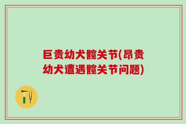 巨贵幼犬髋关节(昂贵幼犬遭遇髋关节问题)-第1张图片-氨糖科普网 巨贵幼犬髋关节(昂贵幼犬遭遇髋关节问题)-第1张图片-氨糖科普网