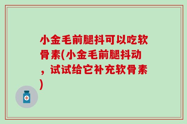 小金毛前腿抖可以吃软骨素(小金毛前腿抖动,试试给它补充软骨素)-第1张图片-氨糖科普网 小金毛前腿抖可以吃软骨素(小金毛前腿抖动,试试给它补充软骨素)-第1张图片-氨糖科普网