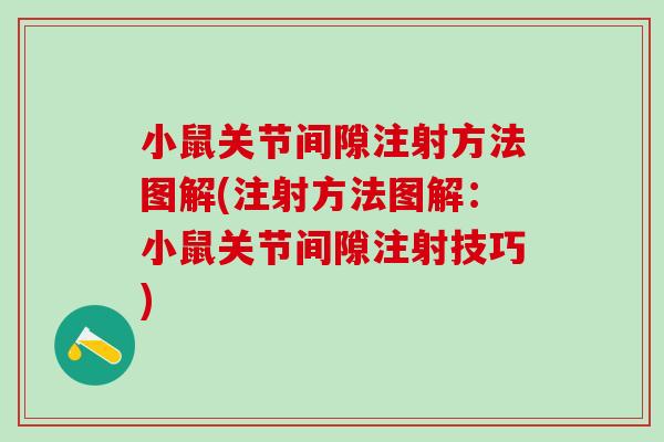 小鼠关节间隙注射方法图解(注射方法图解:小鼠关节间隙注射技巧)-第1张图片-氨糖科普网 小鼠关节间隙注射方法图解(注射方法图解:小鼠关节间隙注射技巧)-第1张图片-氨糖科普网