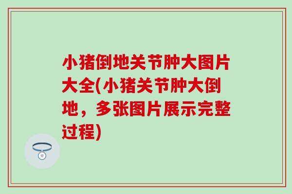 小猪倒地关节肿大图片大全(小猪关节肿大倒地，多张图片展示完整过程)-第1张图片-氨糖科普网