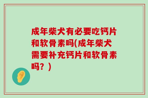 成年柴犬有必要吃钙片和软骨素吗(成年柴犬需要补充钙片和软骨素吗？)-第1张图片-氨糖科普网